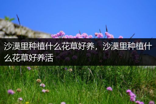 沙漠里种植什么花草好养，沙漠里种植什么花草好养活