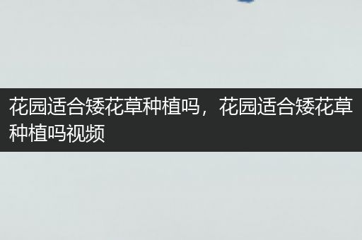花园适合矮花草种植吗，花园适合矮花草种植吗视频