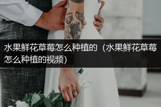 水果鲜花草莓怎么种植的（水果鲜花草莓怎么种植的视频）