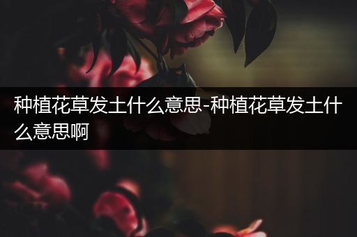 种植花草发土什么意思-种植花草发土什么意思啊