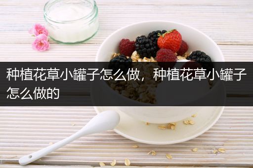 种植花草小罐子怎么做，种植花草小罐子怎么做的