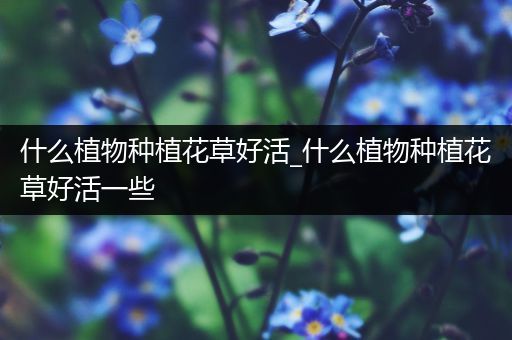 什么植物种植花草好活_什么植物种植花草好活一些