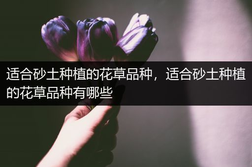 适合砂土种植的花草品种，适合砂土种植的花草品种有哪些