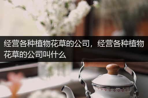 经营各种植物花草的公司，经营各种植物花草的公司叫什么