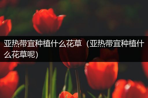 亚热带宜种植什么花草（亚热带宜种植什么花草呢）