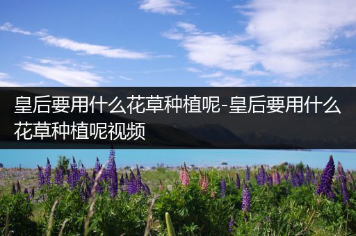 皇后要用什么花草种植呢-皇后要用什么花草种植呢视频