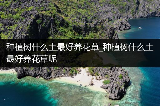 种植树什么土最好养花草_种植树什么土最好养花草呢