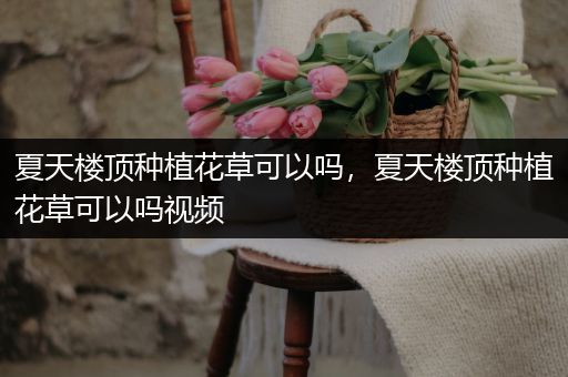夏天楼顶种植花草可以吗，夏天楼顶种植花草可以吗视频
