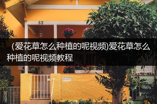（爱花草怎么种植的呢视频)爱花草怎么种植的呢视频教程