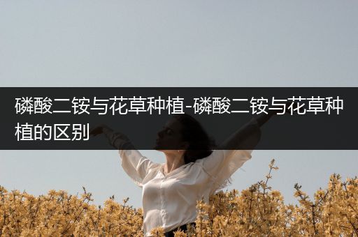 磷酸二铵与花草种植-磷酸二铵与花草种植的区别