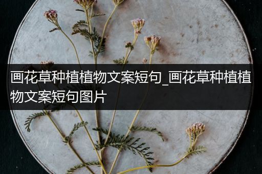 画花草种植植物文案短句_画花草种植植物文案短句图片