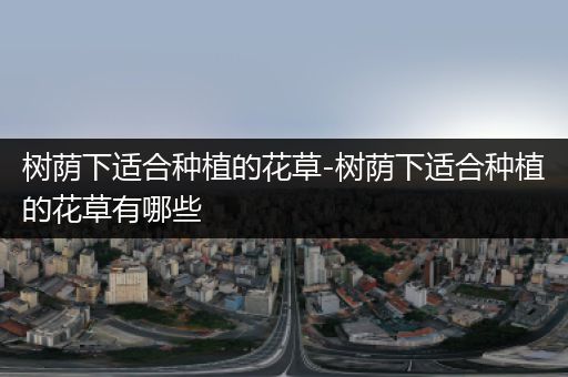 树荫下适合种植的花草-树荫下适合种植的花草有哪些