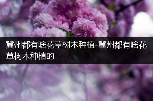 冀州都有啥花草树木种植-冀州都有啥花草树木种植的