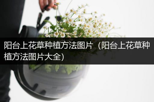 阳台上花草种植方法图片（阳台上花草种植方法图片大全）