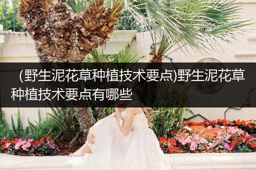 （野生泥花草种植技术要点)野生泥花草种植技术要点有哪些