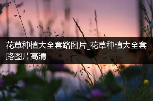 花草种植大全套路图片_花草种植大全套路图片高清