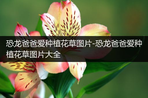 恐龙爸爸爱种植花草图片-恐龙爸爸爱种植花草图片大全