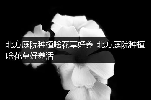 北方庭院种植啥花草好养-北方庭院种植啥花草好养活