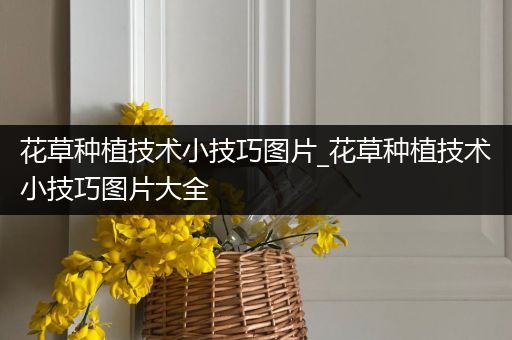 花草种植技术小技巧图片_花草种植技术小技巧图片大全