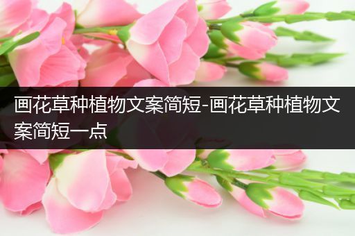 画花草种植物文案简短-画花草种植物文案简短一点