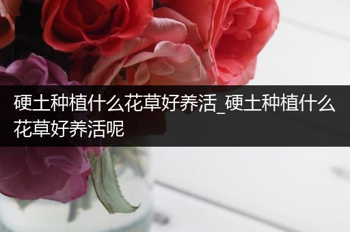 硬土种植什么花草好养活_硬土种植什么花草好养活呢