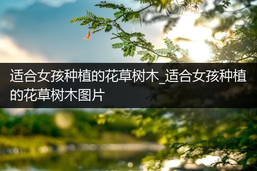 适合女孩种植的花草树木_适合女孩种植的花草树木图片