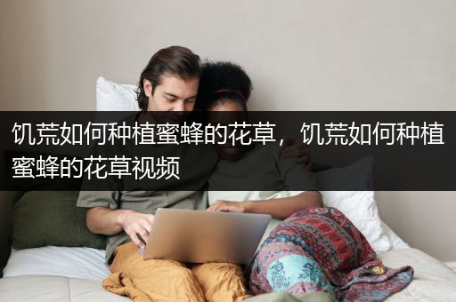 饥荒如何种植蜜蜂的花草，饥荒如何种植蜜蜂的花草视频