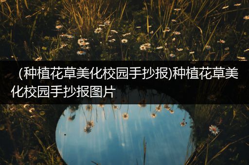（种植花草美化校园手抄报)种植花草美化校园手抄报图片