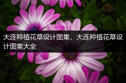 大连种植花草设计图集，大连种植花草设计图集大全