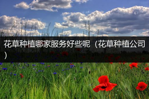 花草种植哪家服务好些呢（花草种植公司）