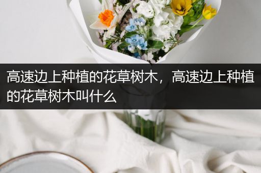 高速边上种植的花草树木，高速边上种植的花草树木叫什么