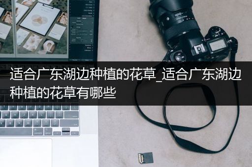 适合广东湖边种植的花草_适合广东湖边种植的花草有哪些