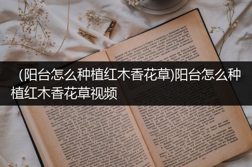 （阳台怎么种植红木香花草)阳台怎么种植红木香花草视频