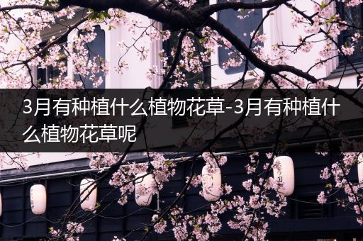 3月有种植什么植物花草-3月有种植什么植物花草呢