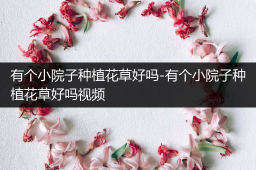 有个小院子种植花草好吗-有个小院子种植花草好吗视频