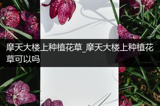 摩天大楼上种植花草_摩天大楼上种植花草可以吗