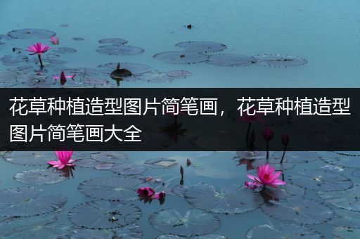 花草种植造型图片简笔画，花草种植造型图片简笔画大全