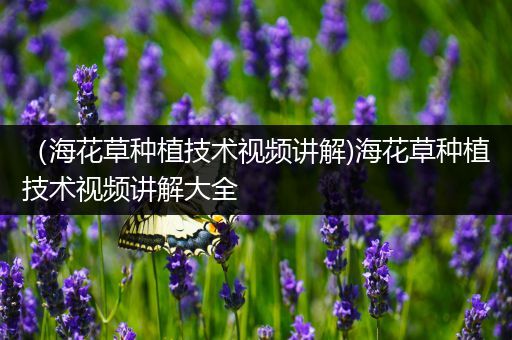 （海花草种植技术视频讲解)海花草种植技术视频讲解大全