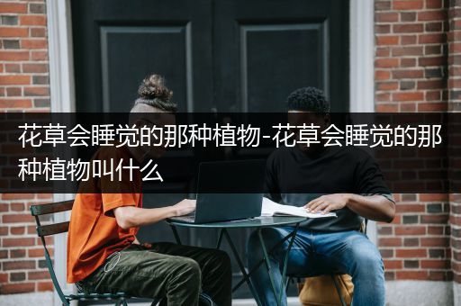 花草会睡觉的那种植物-花草会睡觉的那种植物叫什么