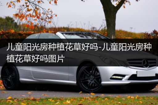 儿童阳光房种植花草好吗-儿童阳光房种植花草好吗图片