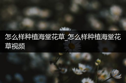 怎么样种植海堂花草_怎么样种植海堂花草视频