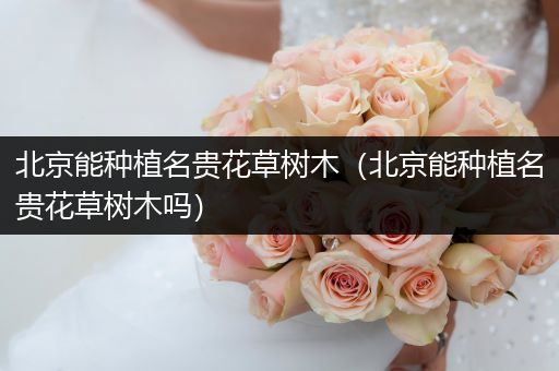 北京能种植名贵花草树木（北京能种植名贵花草树木吗）