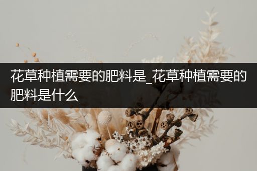 花草种植需要的肥料是_花草种植需要的肥料是什么