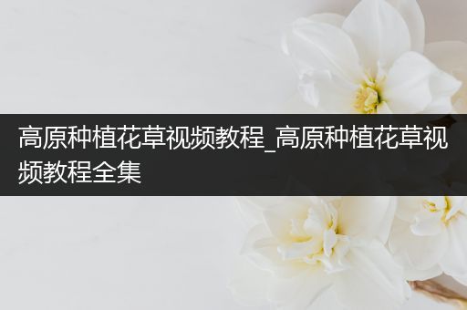 高原种植花草视频教程_高原种植花草视频教程全集