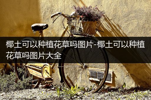 椰土可以种植花草吗图片-椰土可以种植花草吗图片大全
