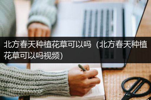 北方春天种植花草可以吗（北方春天种植花草可以吗视频）
