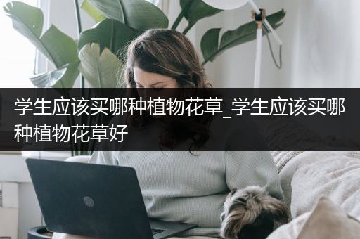 学生应该买哪种植物花草_学生应该买哪种植物花草好