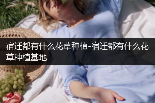 宿迁都有什么花草种植-宿迁都有什么花草种植基地