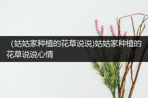 （姑姑家种植的花草说说)姑姑家种植的花草说说心情