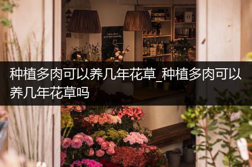 种植多肉可以养几年花草_种植多肉可以养几年花草吗